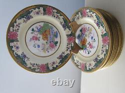 12 Johnson Bros Pareek Dinner Plates Colorful Flowers England