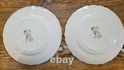 16 pcs Johnson Brothers Friendly Village 4 cup, saucer, 10 plate, lugged bowl