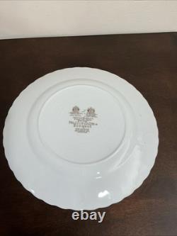 22 PC Staffordshire Bouquet Made In England By JOHNSON BROS