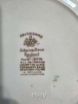 31 Piece Devonshire Johnson Bros England Fine China Pat No. 118579