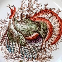 5 Johnson Bros Windsor Ware Wild Turkeys 10 3/4 Dinner Plates Native American