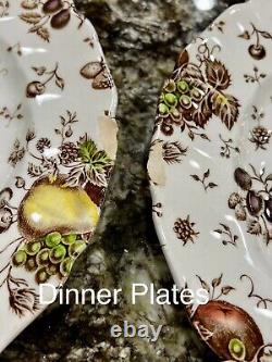64pc AUTUMNS DELIGHT JOHNSON BROS Complete Service For 8 Dinner Plates Bowls +++