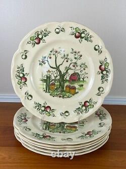 6 Rare Johnson Brothers APPLE HARVEST 10 1/4 Dinner Plates