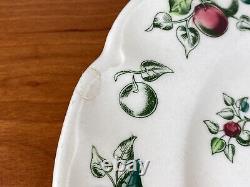 6 Rare Johnson Brothers APPLE HARVEST 8 Salad Plate