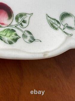 6 Rare Johnson Brothers APPLE HARVEST 8 Salad Plate