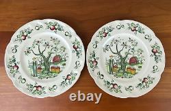 6 Rare Johnson Brothers APPLE HARVEST 8 Salad Plate