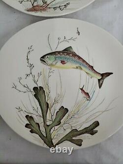 6- Vintage Johnson Bros. Made in England 6 FISH Oval Dinner Plate