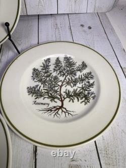 A Tiffany & Co Herbs Garden 4 Pc Set By Johnson Bros. 7 7/8