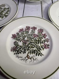 A Tiffany & Co Herbs Garden 4 Pc Set By Johnson Bros. 7 7/8