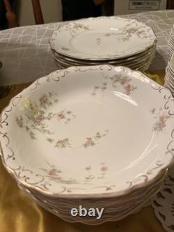 Antique Johnson Bros Early 1900s Dish Set 9 Place Setting With Extras