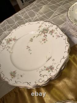 Antique Johnson Bros Early 1900s Dish Set 9 Place Setting With Extras
