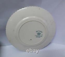 Antique Victorian Ceramic Plate Vintage English Johnson Bros England Crown Mark