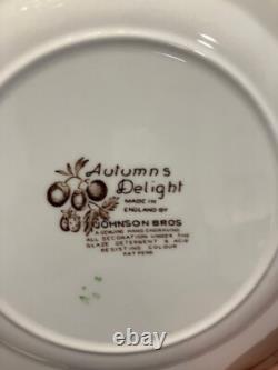 Autumn Delight by Johnson Bros. ESTATE SET 51 Pieces of Vintage Dinnerware