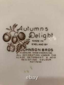 Autumn Delight by Johnson Bros. STARTER SET 16 Pieces of Vintage Dinnerware