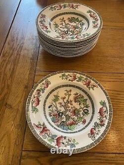 Collection of Vintage Johnson Bros English China'Indian Tree