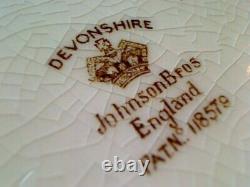 Devonshire, Johnson Brothers, England 118579 6 dinner plt, 5 sq plt, 5 bowls