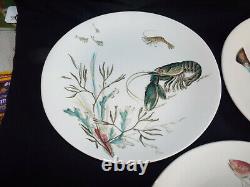 Four superb vintage Johnson Bros Fish pattern plates, designs 1,2,3&4