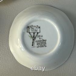Friendly Village Dinnerware Johnson Bros England in New Hampshire Lot Of 39
