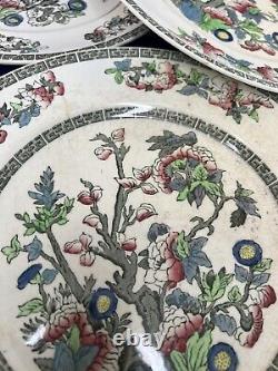 Indian Tree Lot Of 5 Dinner Plates Johnson Brothers Green Greek Key (O2) AS IS