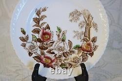 JOHNSON BROS FB&CO WINDSOR WARE APPLE BLOSSOM BRN 24 Pcs 6 Pc Plc Set Serv for 4