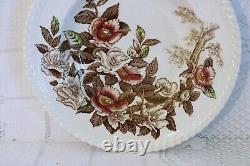 JOHNSON BROS FB&CO WINDSOR WARE APPLE BLOSSOM BRN 24 Pcs 6 Pc Plc Set Serv for 4