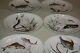 Johnson Bros Fish Plates Complete Set Of All Six Designs