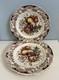 Johnson Brothers Harvest Dinner Plates Set Of 4 Vintage Windsor Ware 10 3/4
