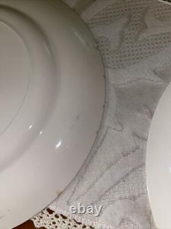 JOHNSON BROTHERS INDIAN TREE CHINA SET 48 PIECES GOOD CONDITION Grade D A+