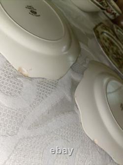 JOHNSON BROTHERS INDIAN TREE CHINA SET 48 PIECES GOOD CONDITION Grade D A+