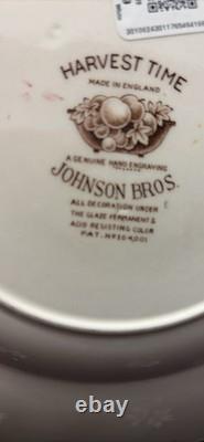 Johnson Bros. England 1940's Harvest Time Fruit Pattern Dinner Plate-Set of 26