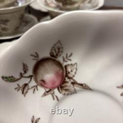 Johnson Bros. England 1940's Harvest Time Fruit Pattern Dinner Plate-Set of 26