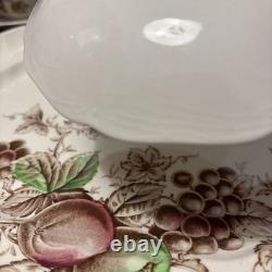 Johnson Bros. England 1940's Harvest Time Fruit Pattern Dinner Plate-Set of 26