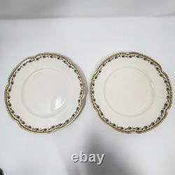 Johnson Bros England PAREEK ALTOONA Fine China Very Rare 17 Pieces