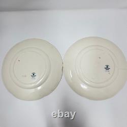 Johnson Bros England PAREEK ALTOONA Fine China Very Rare 17 Pieces