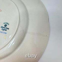 Johnson Bros England PAREEK ALTOONA Fine China Very Rare 17 Pieces