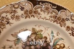 Johnson Bros, England Plate, Windsor Ware, 10.5 Inches, Great Condition