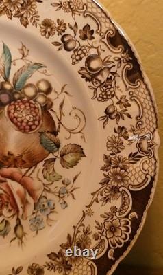 Johnson Bros, England Plate, Windsor Ware, 10.5 Inches, Great Condition