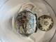 Johnson Bros. Friendly Village Tea Set 1883 Commemorative