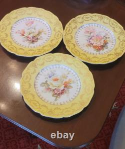 Johnson Bros Pareek JB935 Yellow Floral Plates Set of 12 (see description)