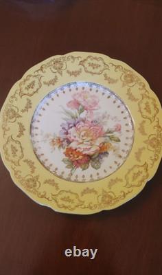 Johnson Bros Pareek JB935 Yellow Floral Plates Set of 12 (see description)