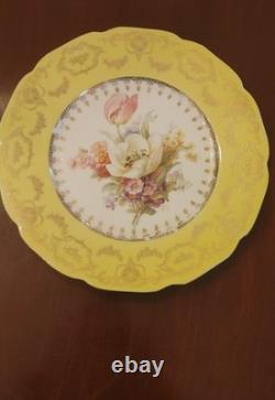 Johnson Bros Pareek JB935 Yellow Floral Plates Set of 12 (see description)