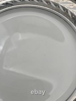 Johnson Bros Pareek Rockwell Silver Luster Set 12 Dinner 8 Salad 12 Demitasse