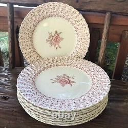 Johnson Bros Rose Bouquet 36Pc Fine China Set