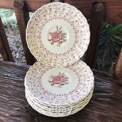 Johnson Bros Rose Bouquet 36Pc Fine China Set