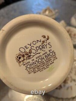 Johnson Bros Staffordshire Bouquet milticolor fine china set