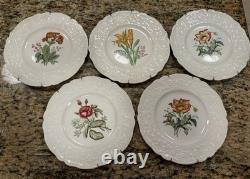 Johnson Bros Vintage 6 Floral Plates (Poppy, Rose, Lily, Polyanthus, Clematis)