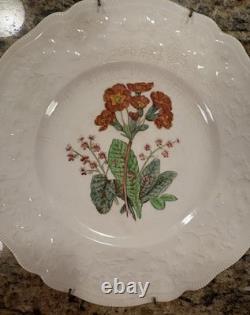Johnson Bros Vintage 6 Floral Plates (Poppy, Rose, Lily, Polyanthus, Clematis)