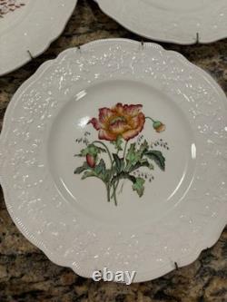 Johnson Bros Vintage 6 Floral Plates (Poppy, Rose, Lily, Polyanthus, Clematis)