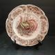 Johnson Bros Wild Turkey Native American Windsor Ware 8 Salad Plate Read