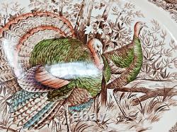 Johnson Bros Wild Turkey Windsor Ware Native American 20 X 16 Serving Platter